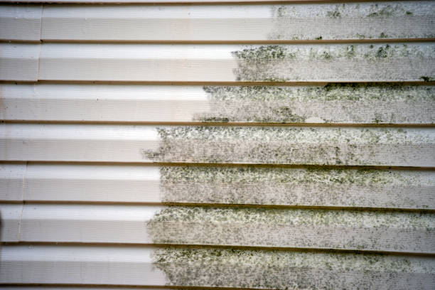 Best Moving and Downsizing Cleanouts  in Friedens, PA
